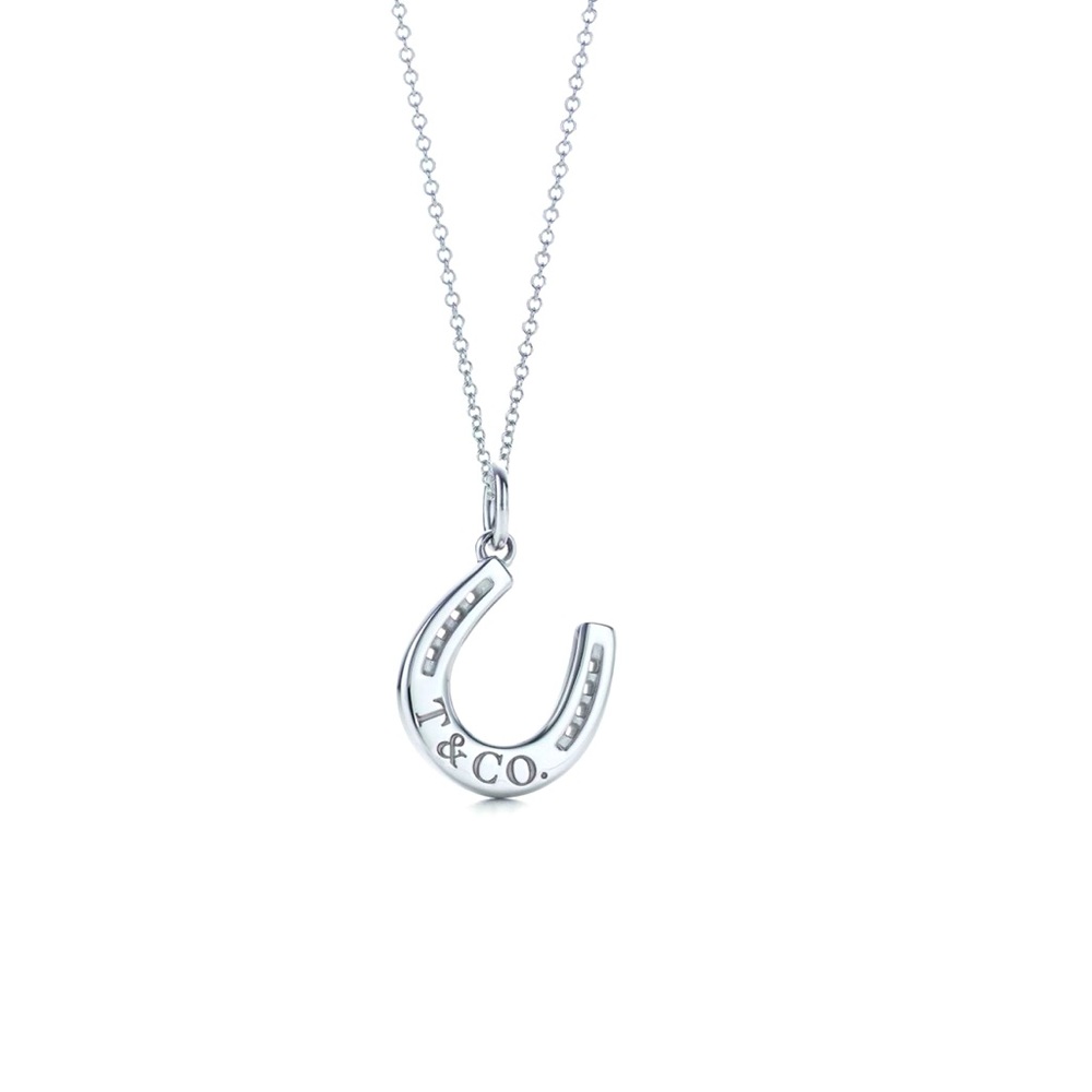 Tiffany & Co Charm Necklace